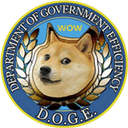 Department Of Government Efficiency icon