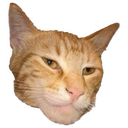 Giga Cat icon