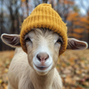 goatwifhat icon