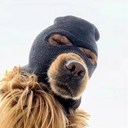 SKI MASK DOG icon